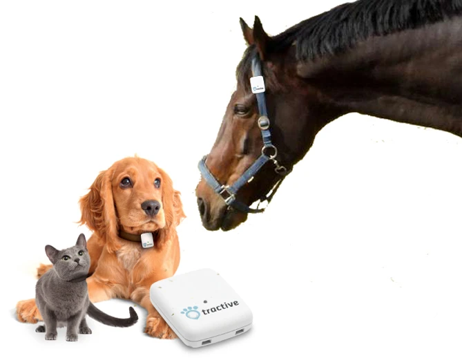 Tractive-GPS-cane-gatto-cavallo