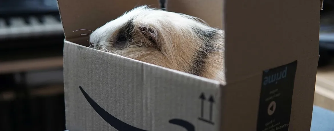 Amazon Prime aumenta a 36€ annui dal 4 Aprile 2018
