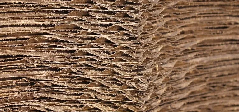 Fotocamera Cardboard: l’applicazione per scattare foto in VR