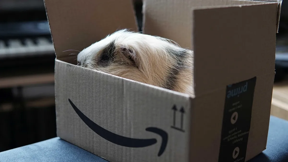 Amazon Prime aumenta a 36€ annui dal 4 Aprile 2018